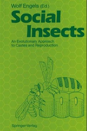 Social Insects