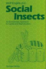 Social Insects