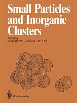 Small Particles and Inorganic Clusters