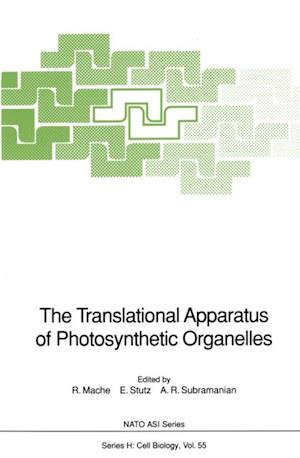 Translational Apparatus of Photosynthetic Organelles