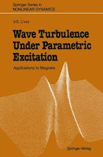 Wave Turbulence Under Parametric Excitation