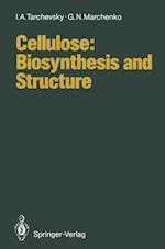 Cellulose: Biosynthesis and Structure