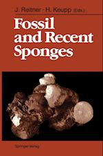 Fossil and Recent Sponges