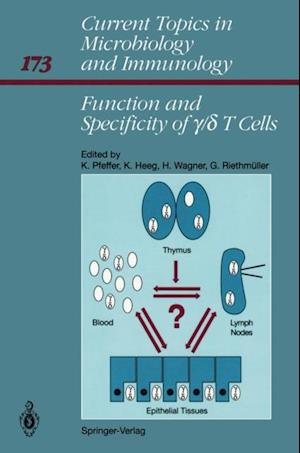 Function and Specificity of y/d T Cells