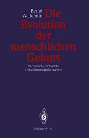 Die Evolution der menschlichen Geburt