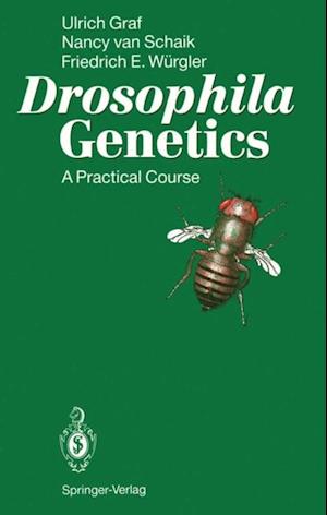 Drosophila Genetics