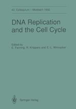 DNA Replication and the Cell Cycle