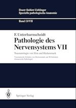 Pathologie Des Nervensystems VII