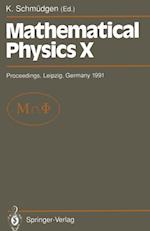 Mathematical Physics X