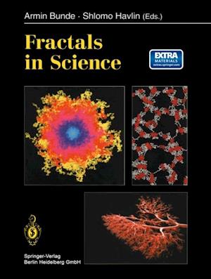 Fractals in Science