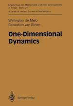 One-Dimensional Dynamics