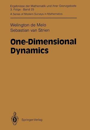 One-Dimensional Dynamics