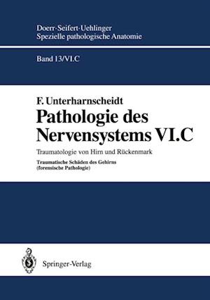 Pathologie des Nervensystems VI.C