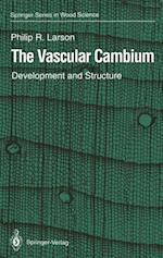 Vascular Cambium