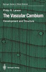 The Vascular Cambium