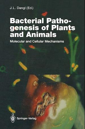 Bacterial Pathogenesis of Plants and Animals