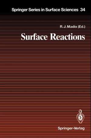 Surface Reactions