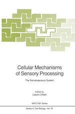 Cellular Mechanisms of Sensory Processing