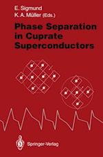 Phase Separation in Cuprate Superconductors