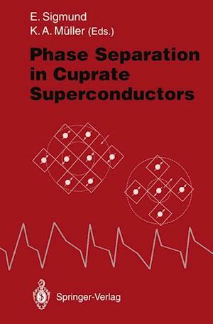 Phase Separation in Cuprate Superconductors