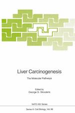 Liver Carcinogenesis