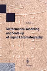 Mathematical Modeling and Scale-up of Liquid Chromatography