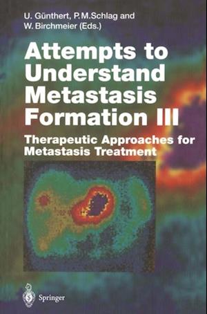 Attempts to Understand Metastasis Formation III