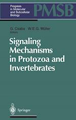 Signaling Mechanisms in Protozoa and Invertebrates