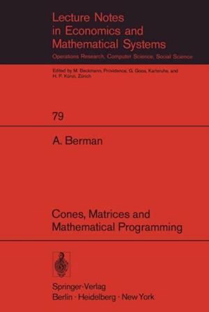 Cones, Matrices and Mathematical Programming