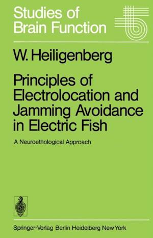 Principles of Electrolocation and Jamming Avoidance in Electric Fish