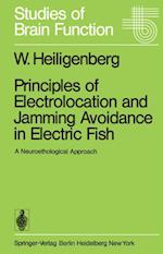 Principles of Electrolocation and Jamming Avoidance in Electric Fish