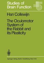 Oculomotor System of the Rabbit and Its Plasticity