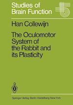 The Oculomotor System of the Rabbit and Its Plasticity