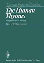Human Thymus