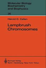 Lampbrush Chromosomes