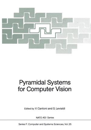 Pyramidal Systems for Computer Vision