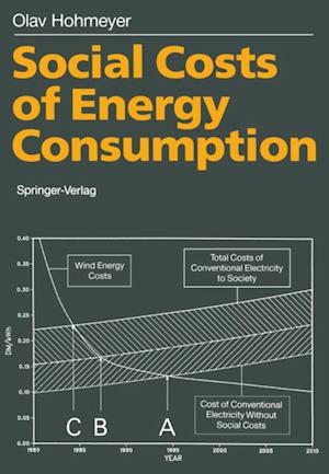 Social Costs of Energy Consumption