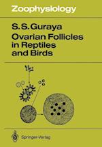 Ovarian Follicles in Reptiles and Birds