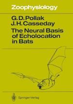 Neural Basis of Echolocation in Bats