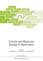 Cellular and Molecular Biology of Myelination