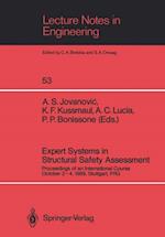 Expert Systems in Structural Safety Assessment