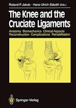 The Knee and the Cruciate Ligaments