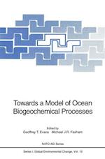Towards a Model of Ocean Biogeochemical Processes