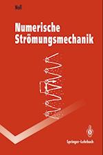 Numerische Strömungsmechanik