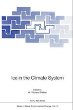 Ice in the Climate System