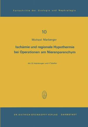 Ischämie und regionale Hypothermie bei Operationen am Nierenparenchym