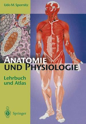 Anatomie und Physiologie