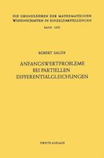 Anfangswertprobleme bei Partiellen Differentialgleichungen