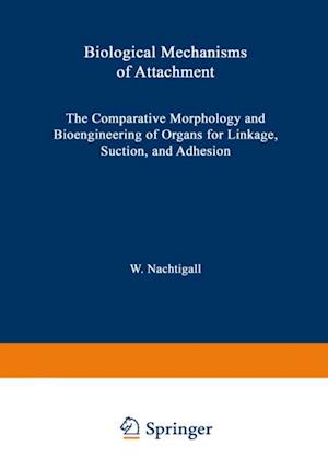 Biological Mechanisms of Attachment