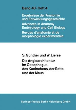 Die Angioarchitektur im Oesophagus des Kaninchens, der Ratte und der Maus